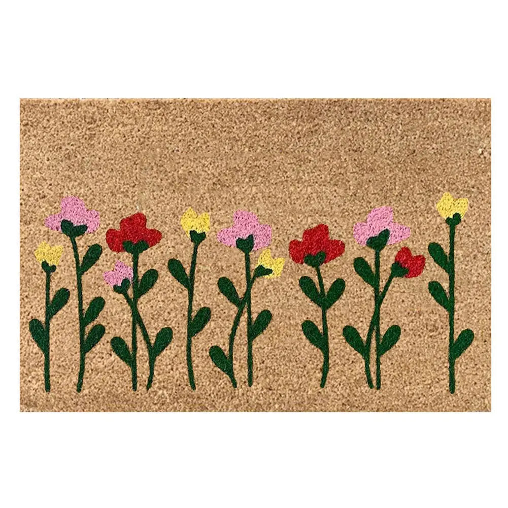 Absorbent, Non Slip Door Mat