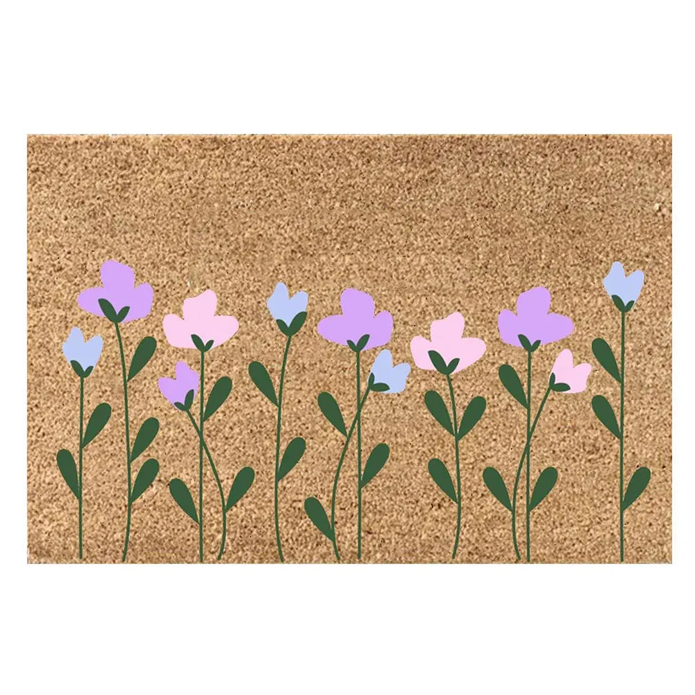 Absorbent, Non Slip Door Mat
