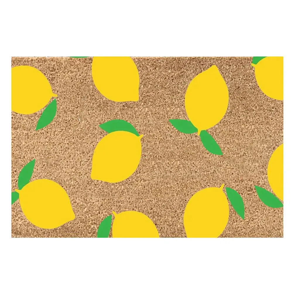 Absorbent, Non Slip Door Mat
