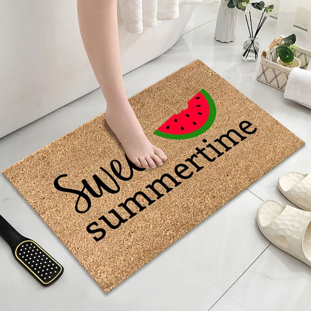 Absorbent,  Non Slip Door Mat